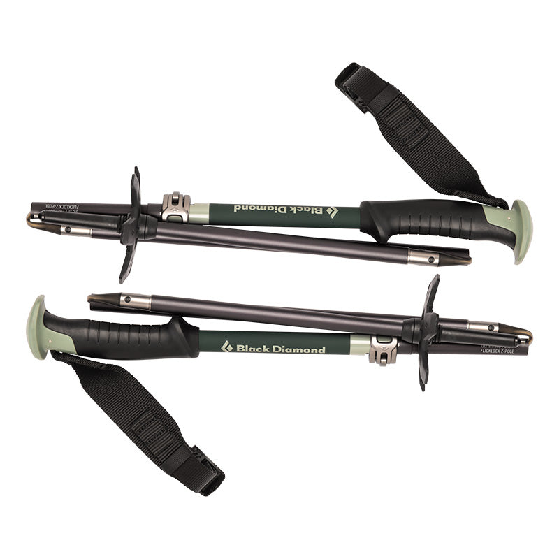 Burton x Black Diamond Compactor Poles | Backcountry