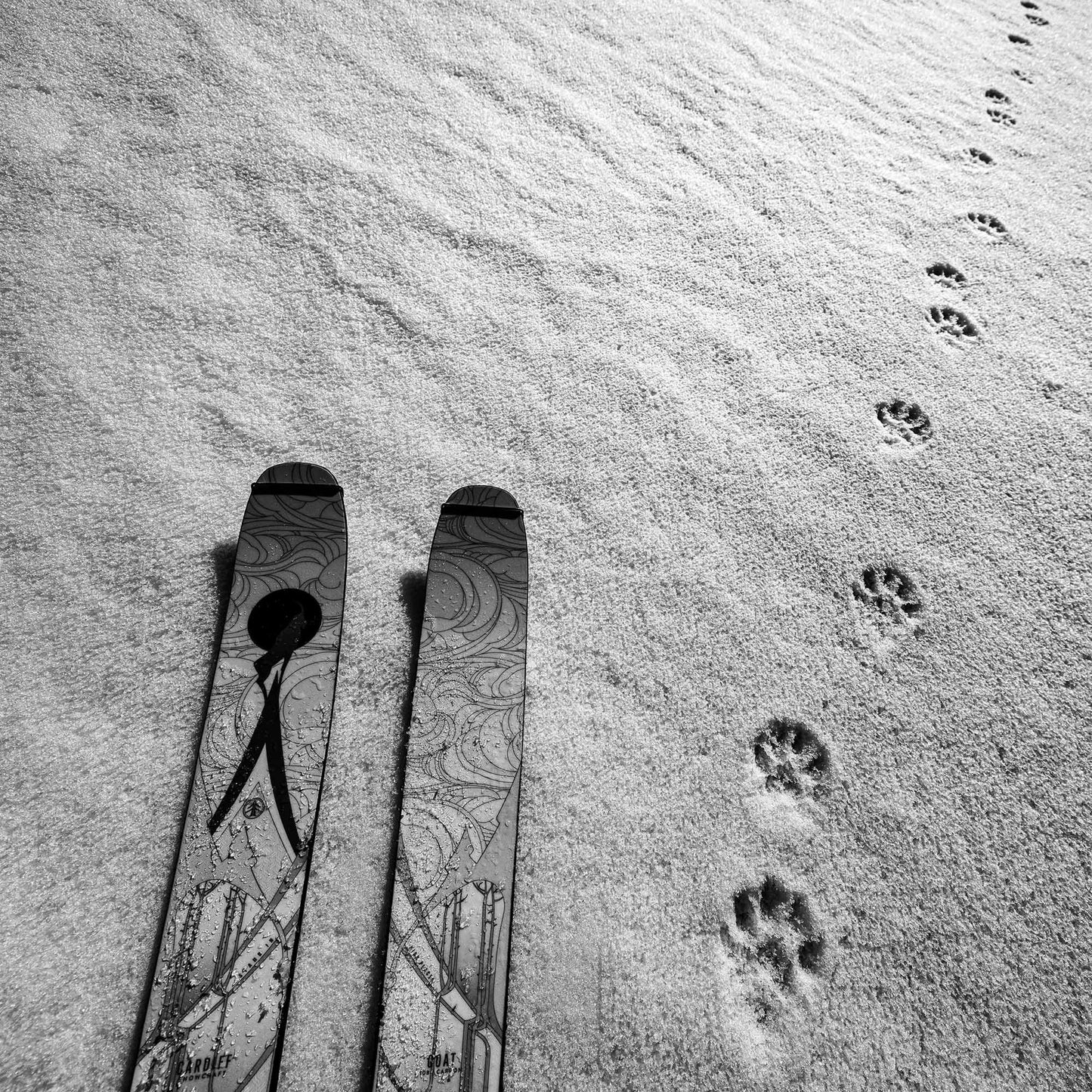 Goat Pro Carbon Ski