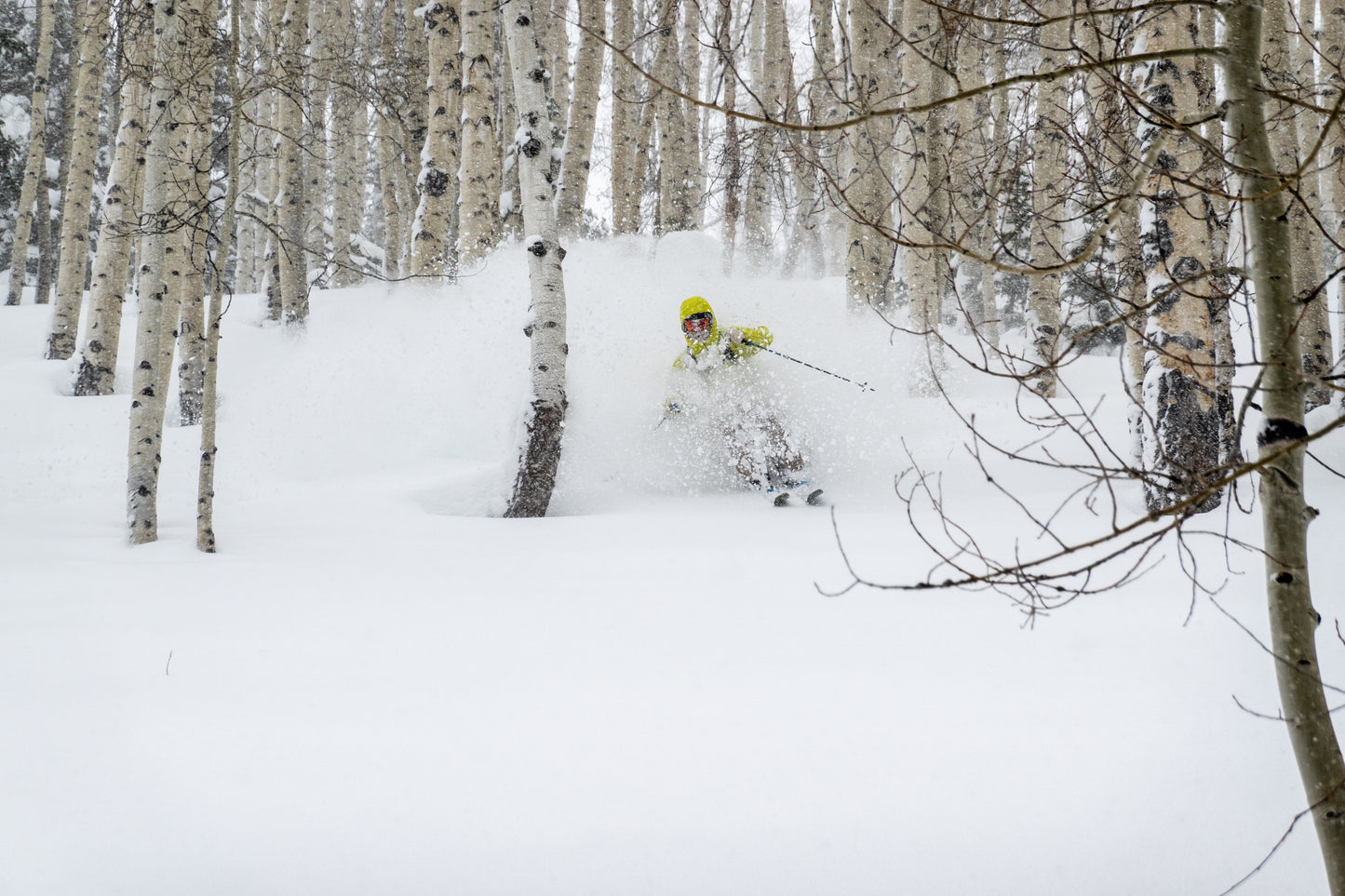 Powgoda Pro Carbon Ski