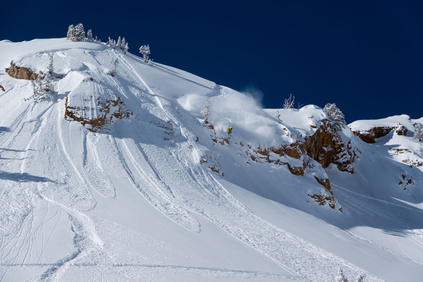 Powgoda Pro Carbon Ski