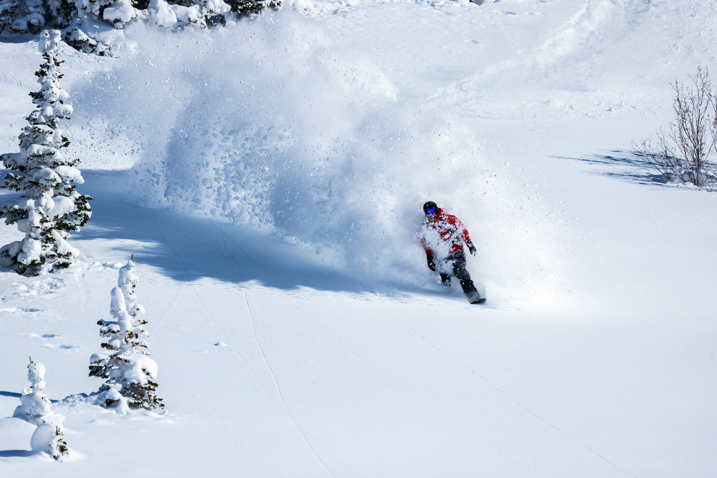Powgoda Pro Carbon Snowboard 2026