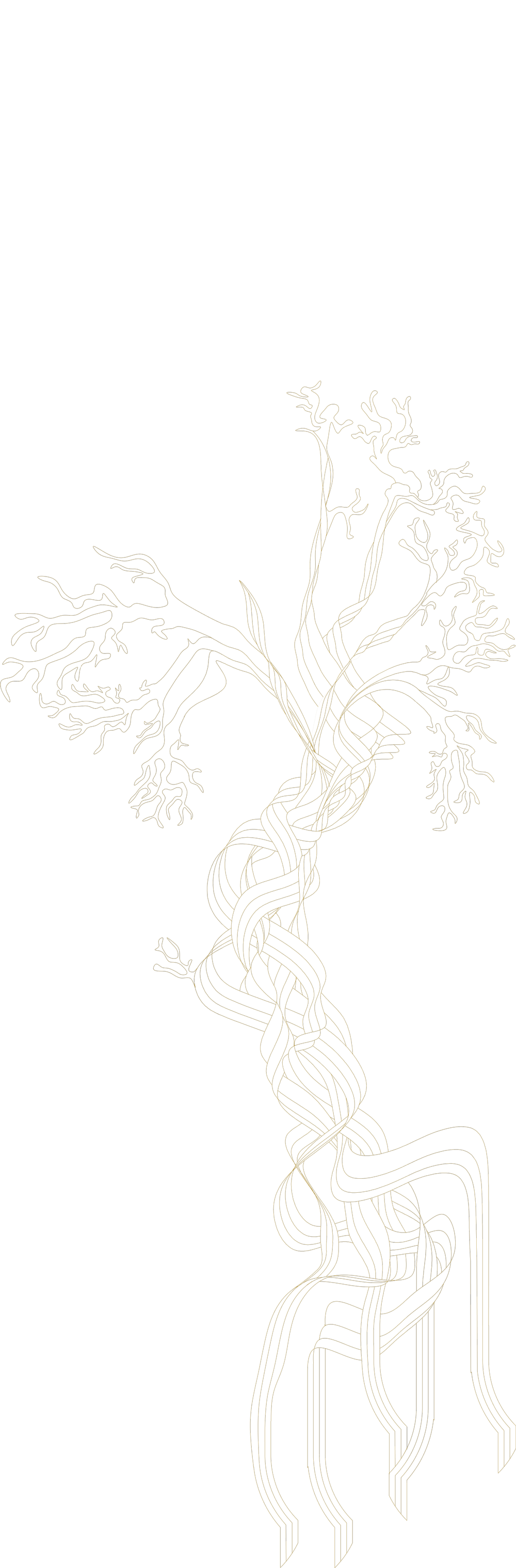 The Bonsai Watermark