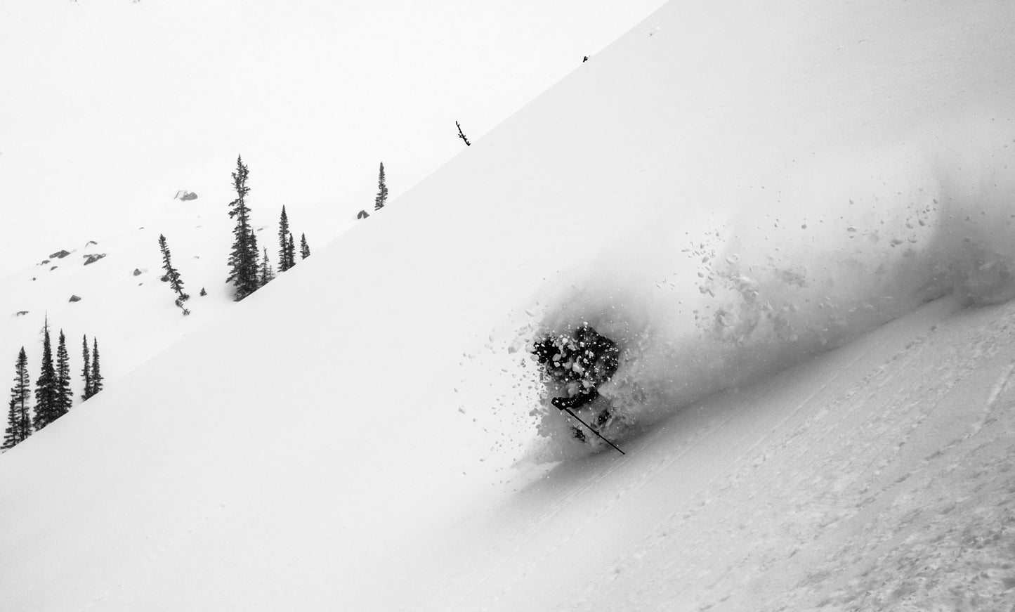 Powgoda Pro Carbon Ski