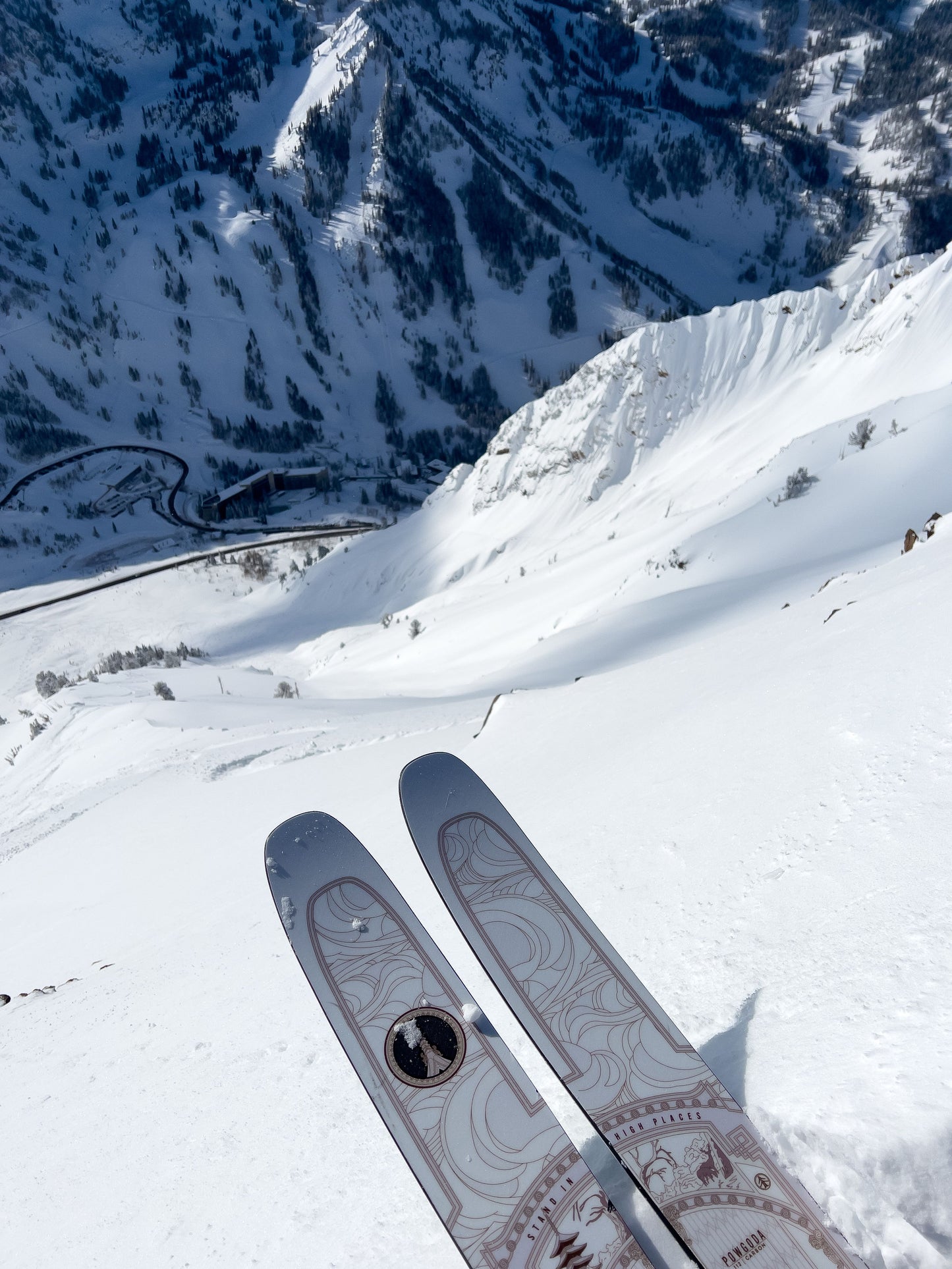 Powgoda Pro Carbon Ski