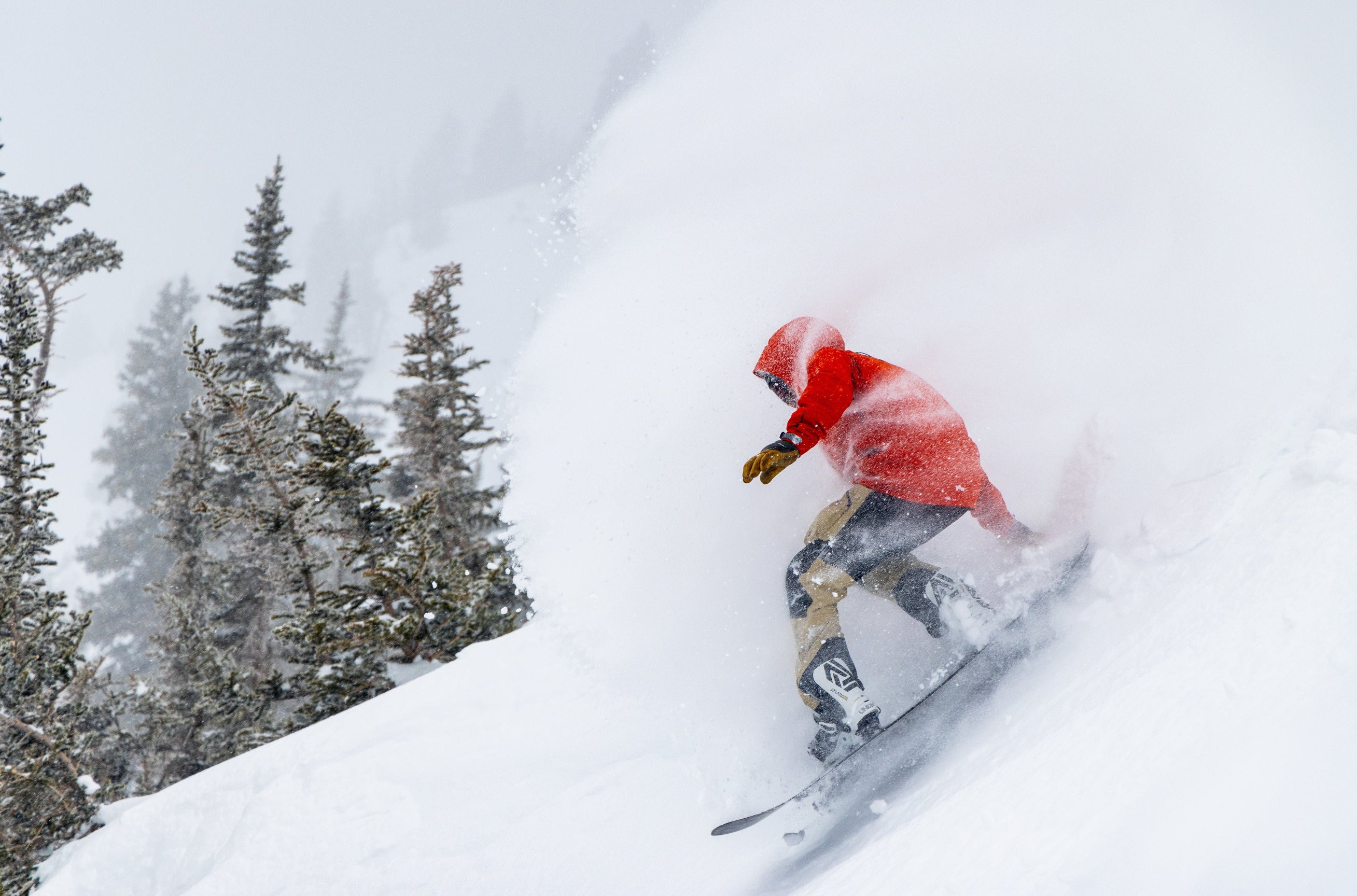 Snowboards - Powder – CARDIFF SNOWcraft