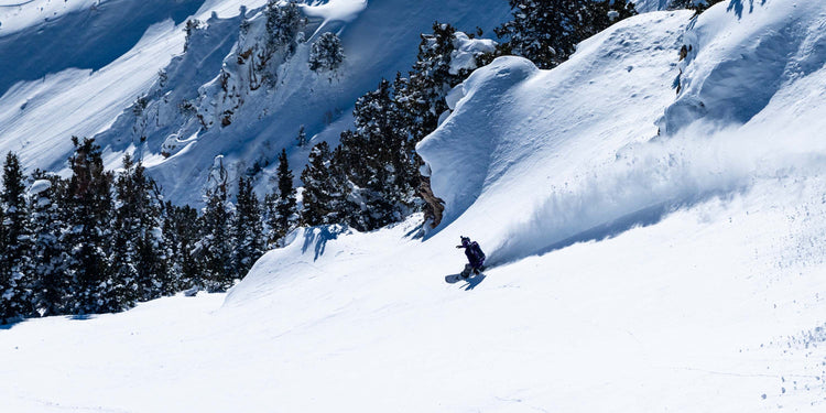 Splitboards - Freeride