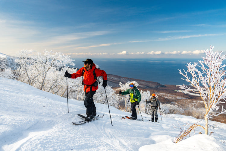 Splitboards - Dispatch View All