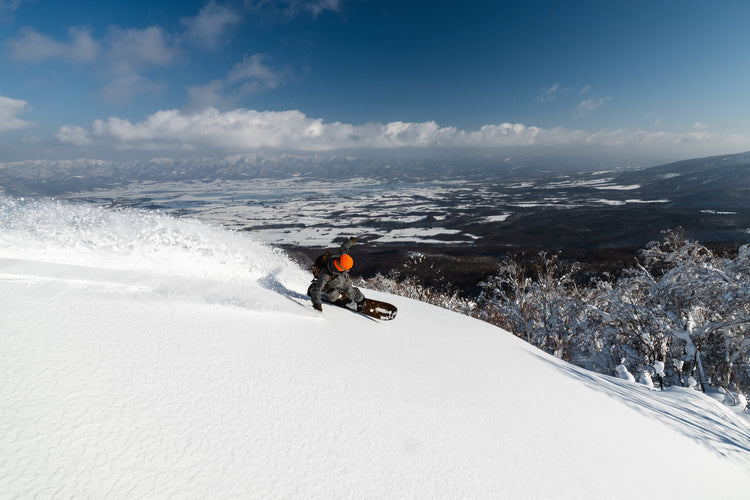Snowboards - Freeride