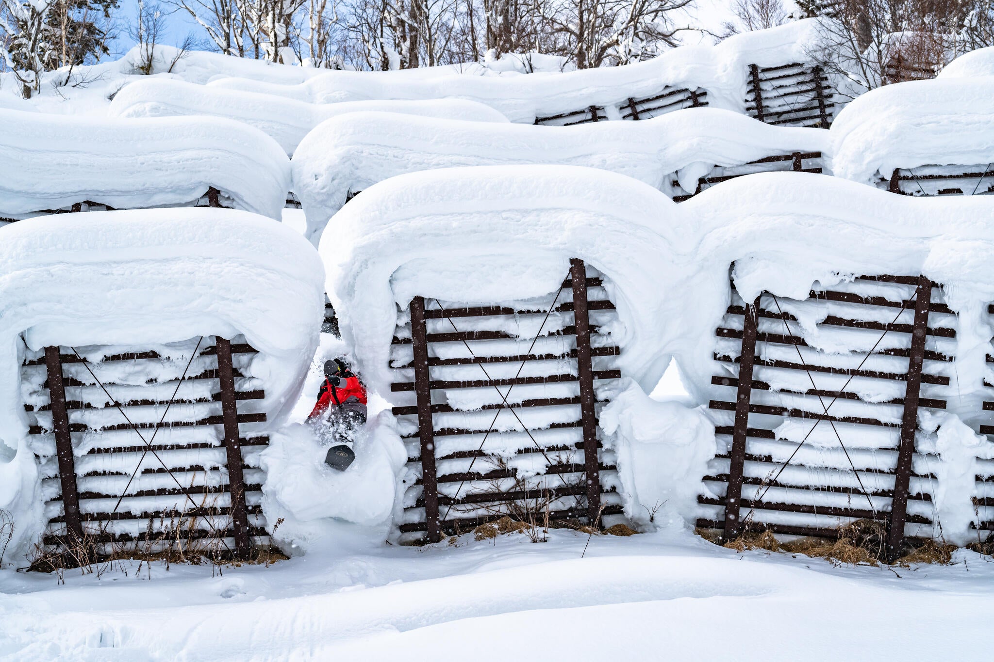 Swell Enduro Snowboard
