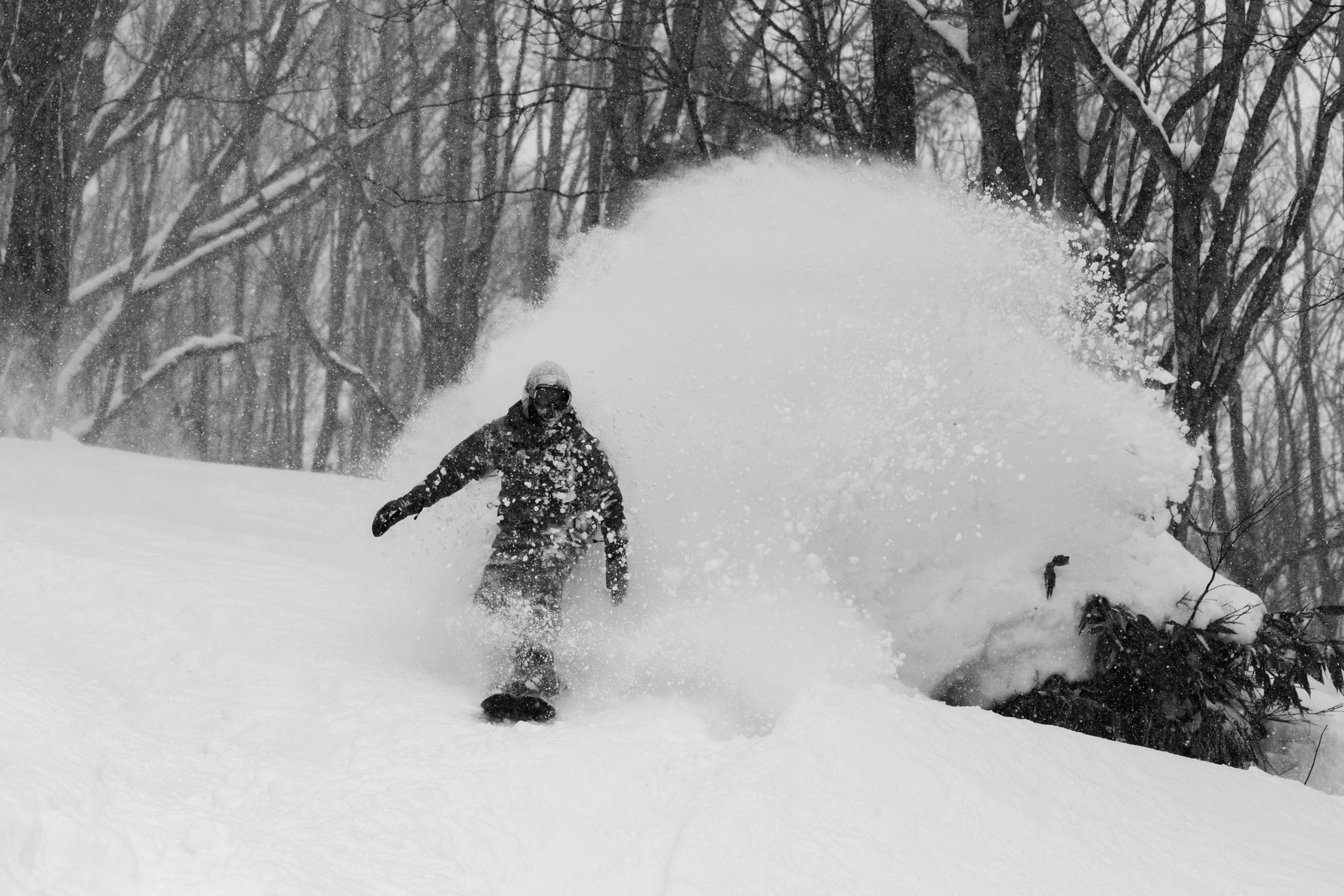 Bonsai Enduro Splitboard