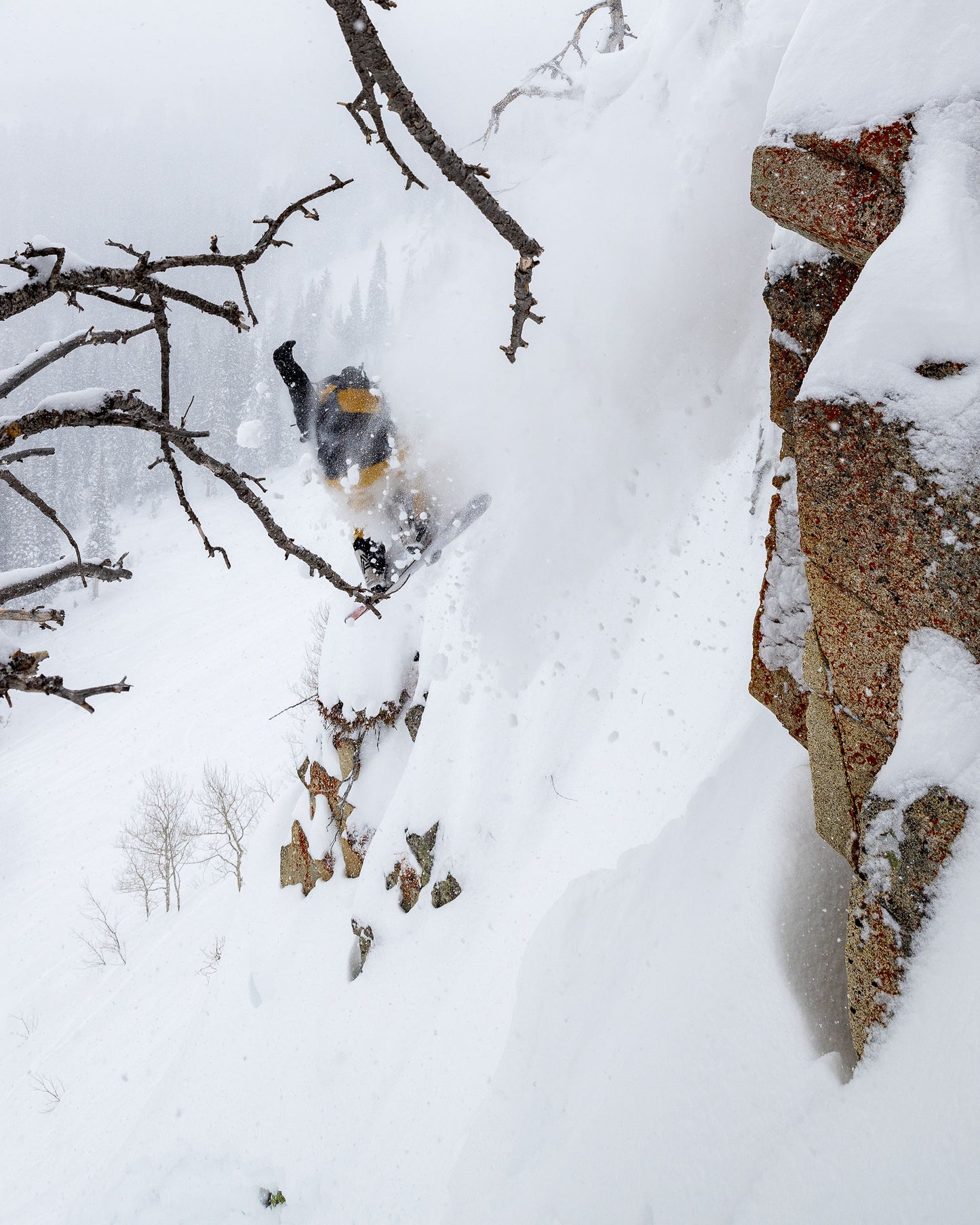 Rotor D-Twin Snowboard