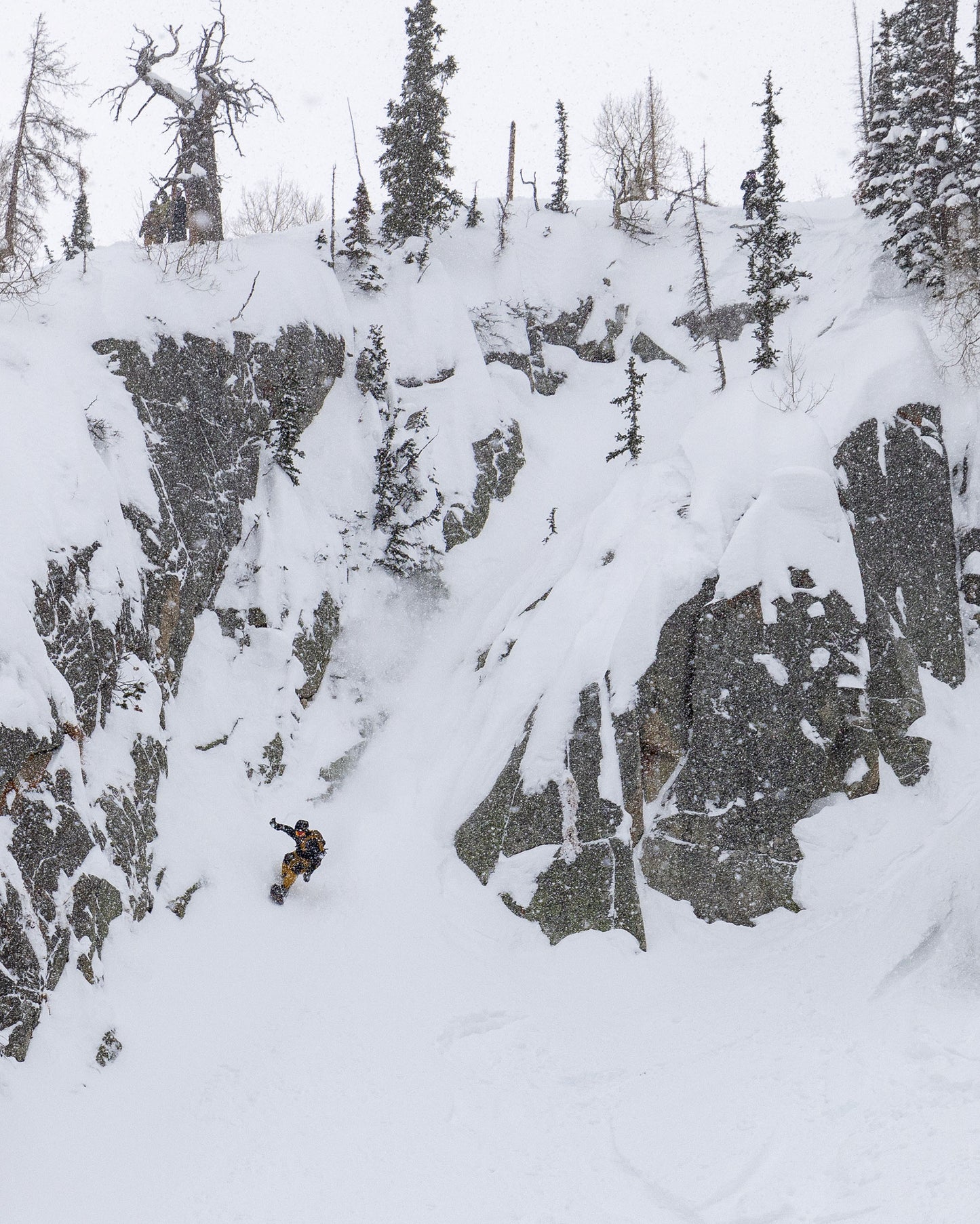 Rotor D-Twin Snowboard