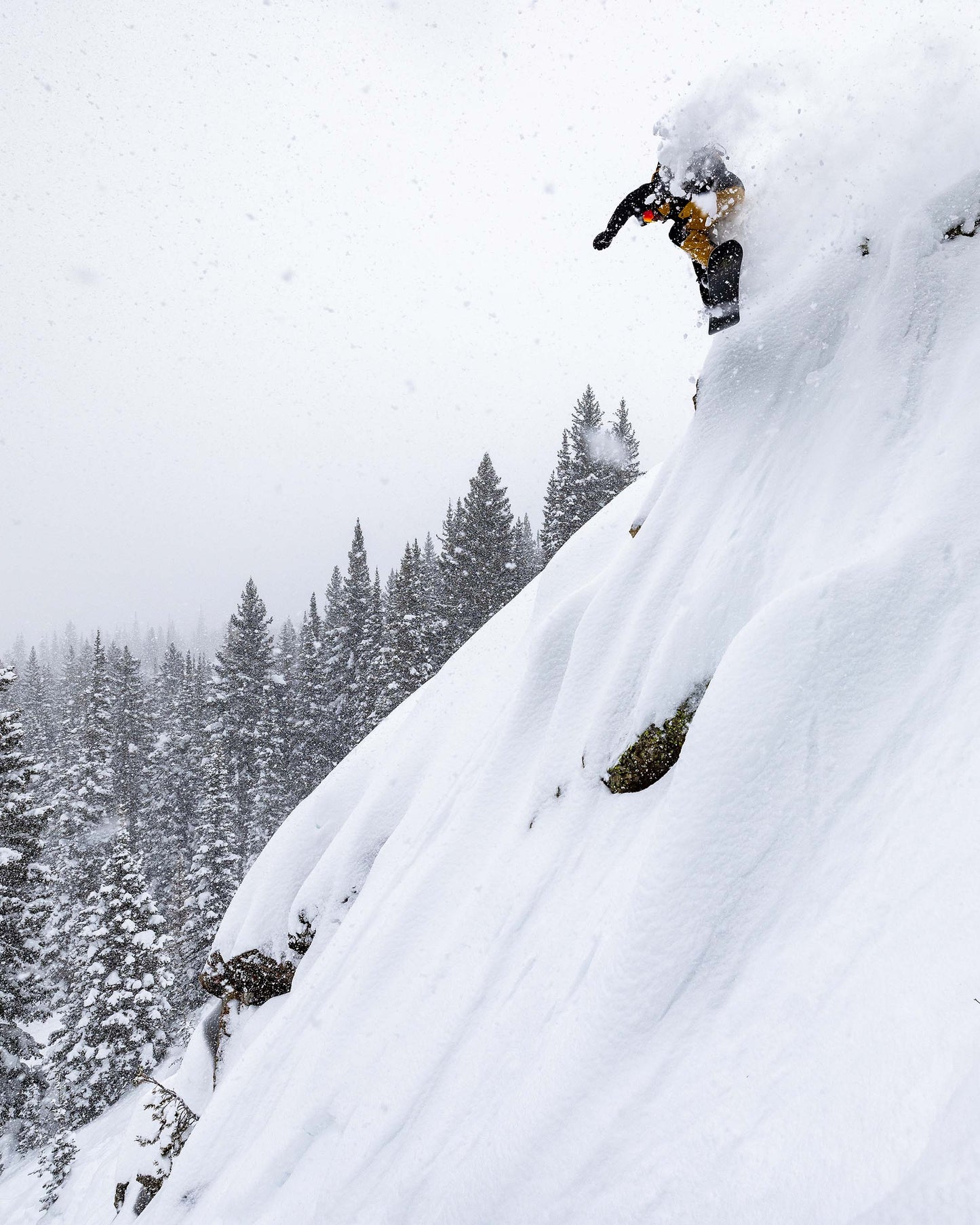 Rotor D-Twin Snowboard