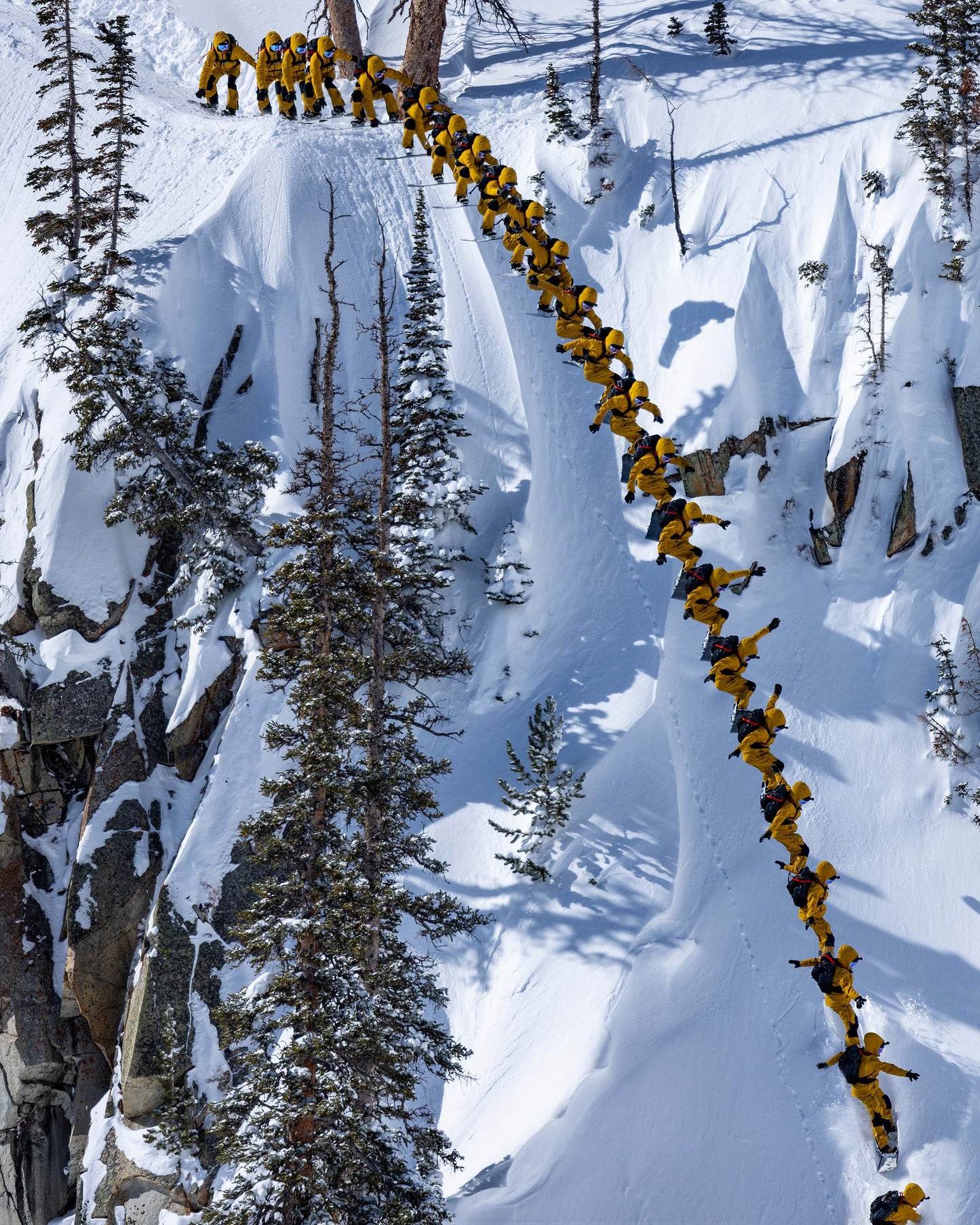 Crane Pro Carbon Splitboard