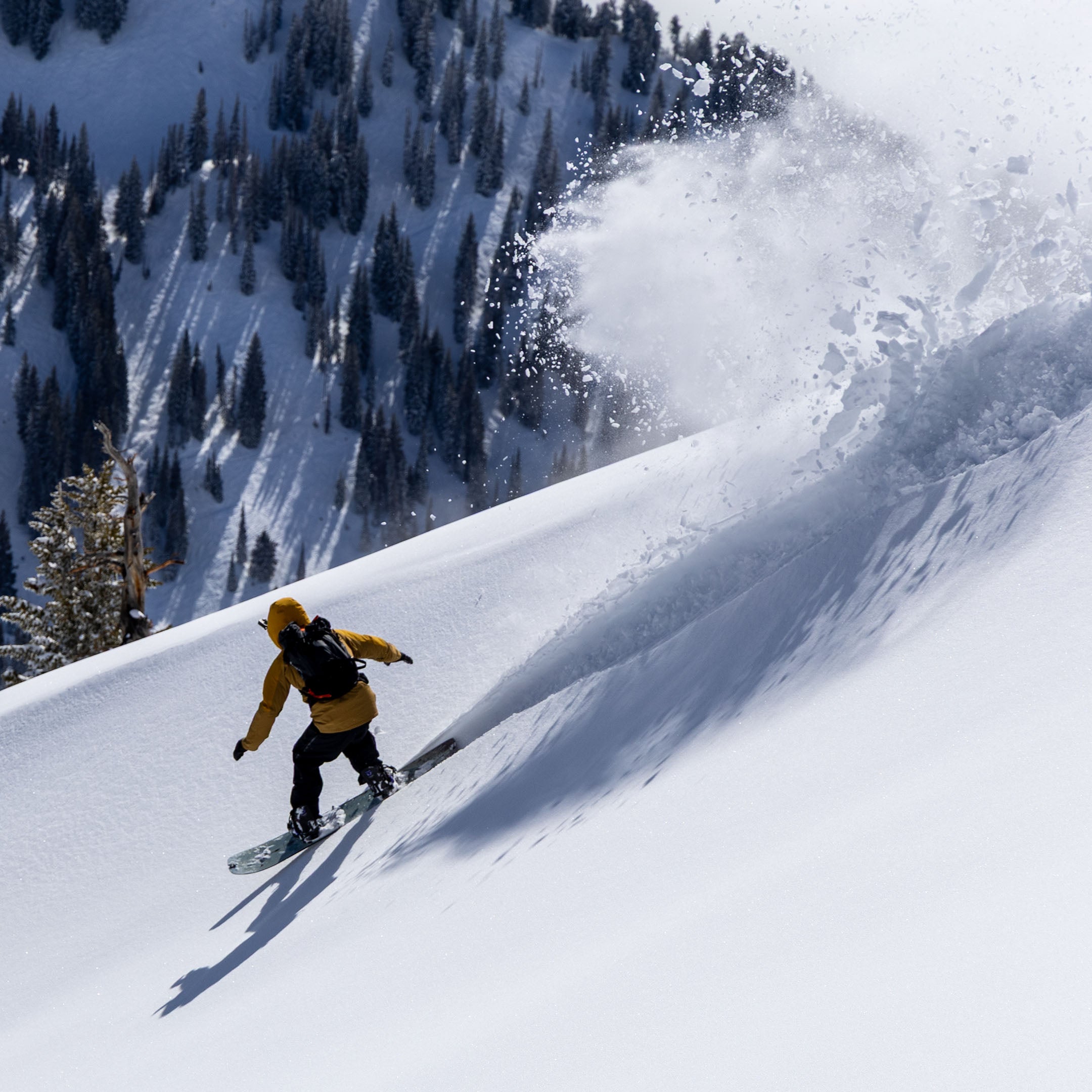 Crane Enduro Splitboard 2026 – CARDIFF SNOWcraft