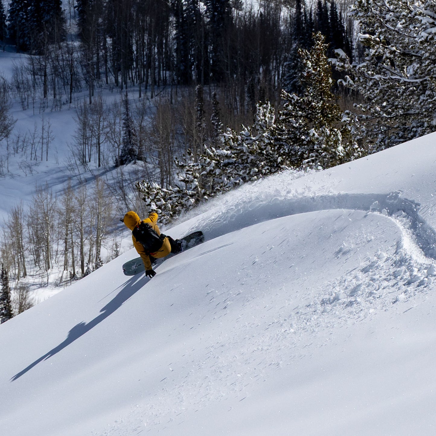 Crane Pro Carbon Splitboard