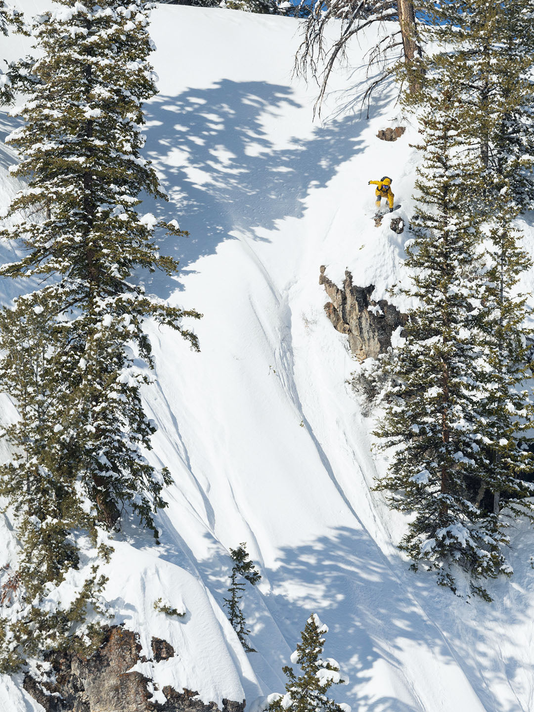 Hawk Enduro Snowboard