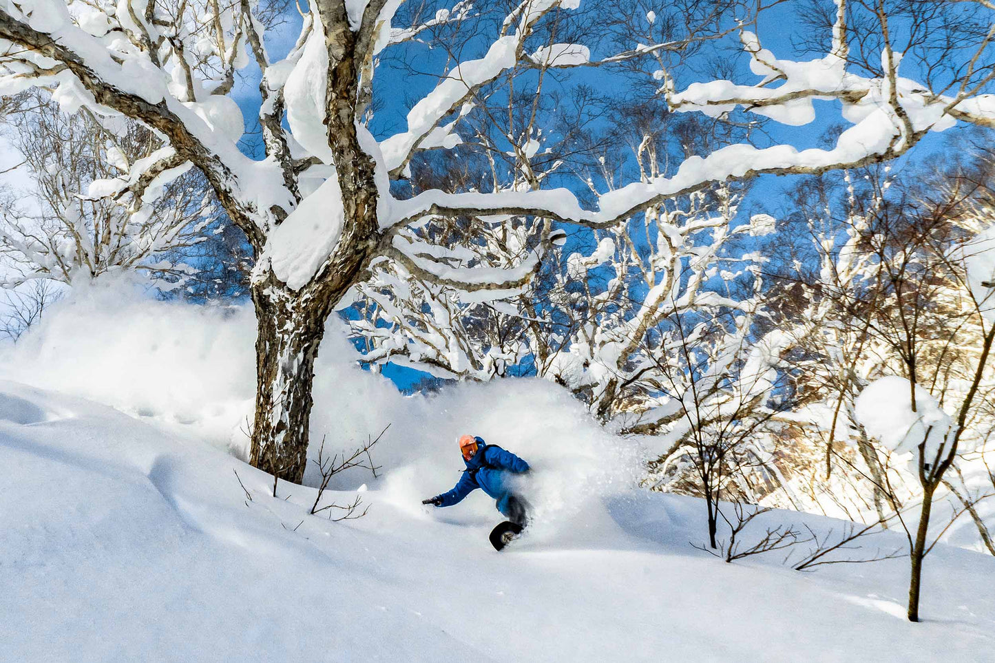 Cardiff X - Japan Trip