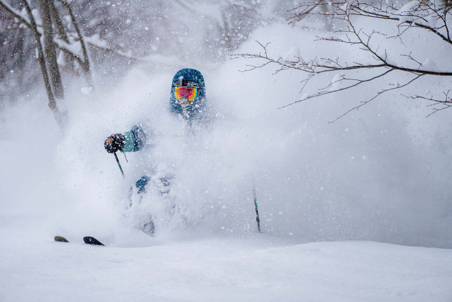 Powgoda Pro Carbon Ski