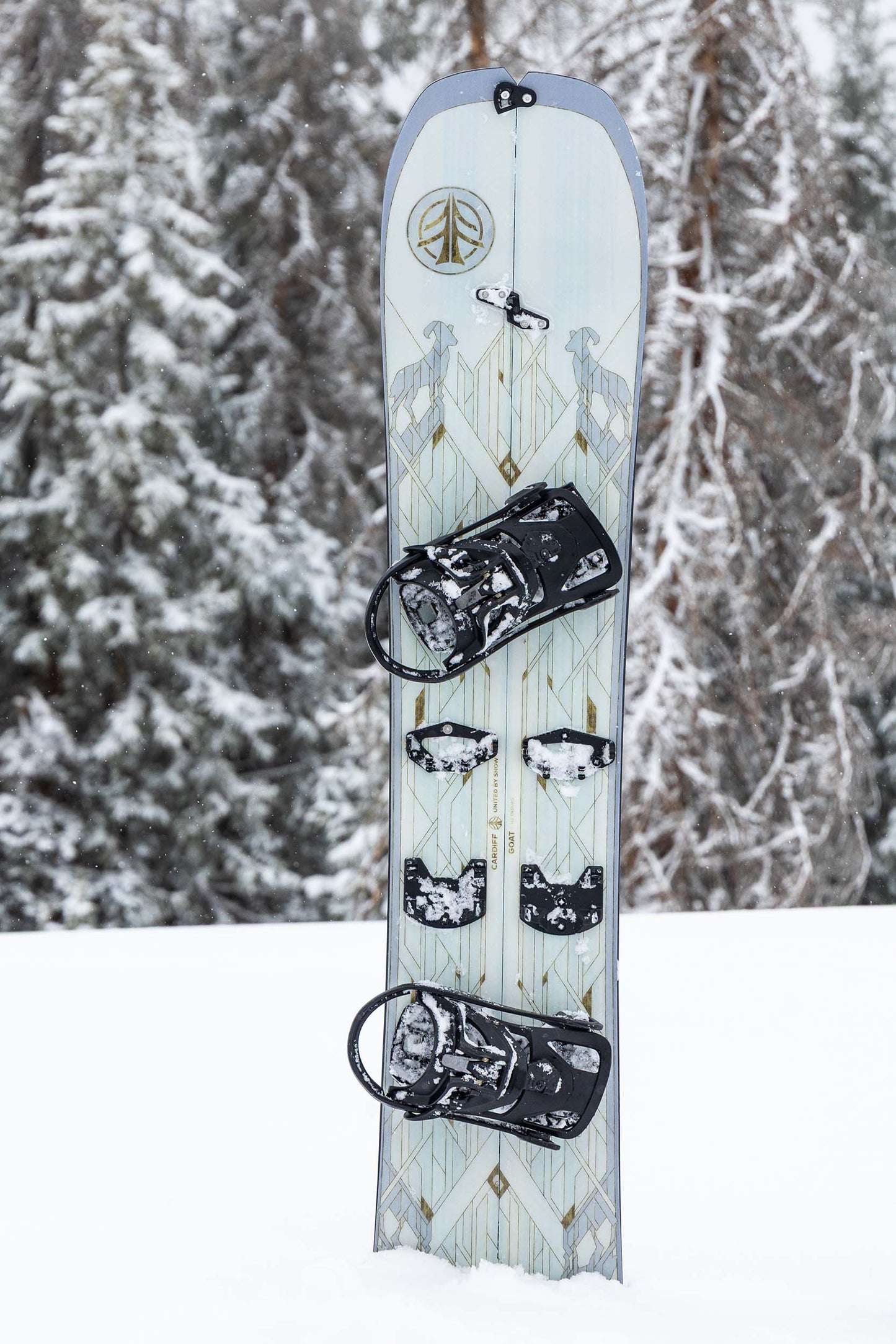Goat Pro Carbon Splitboard