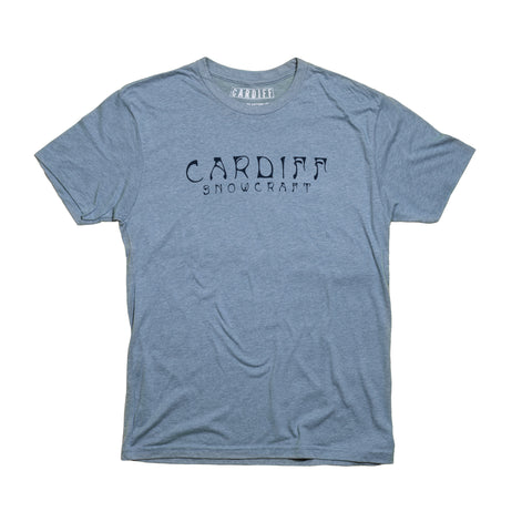Cardiff "Stand In High Places" TEE