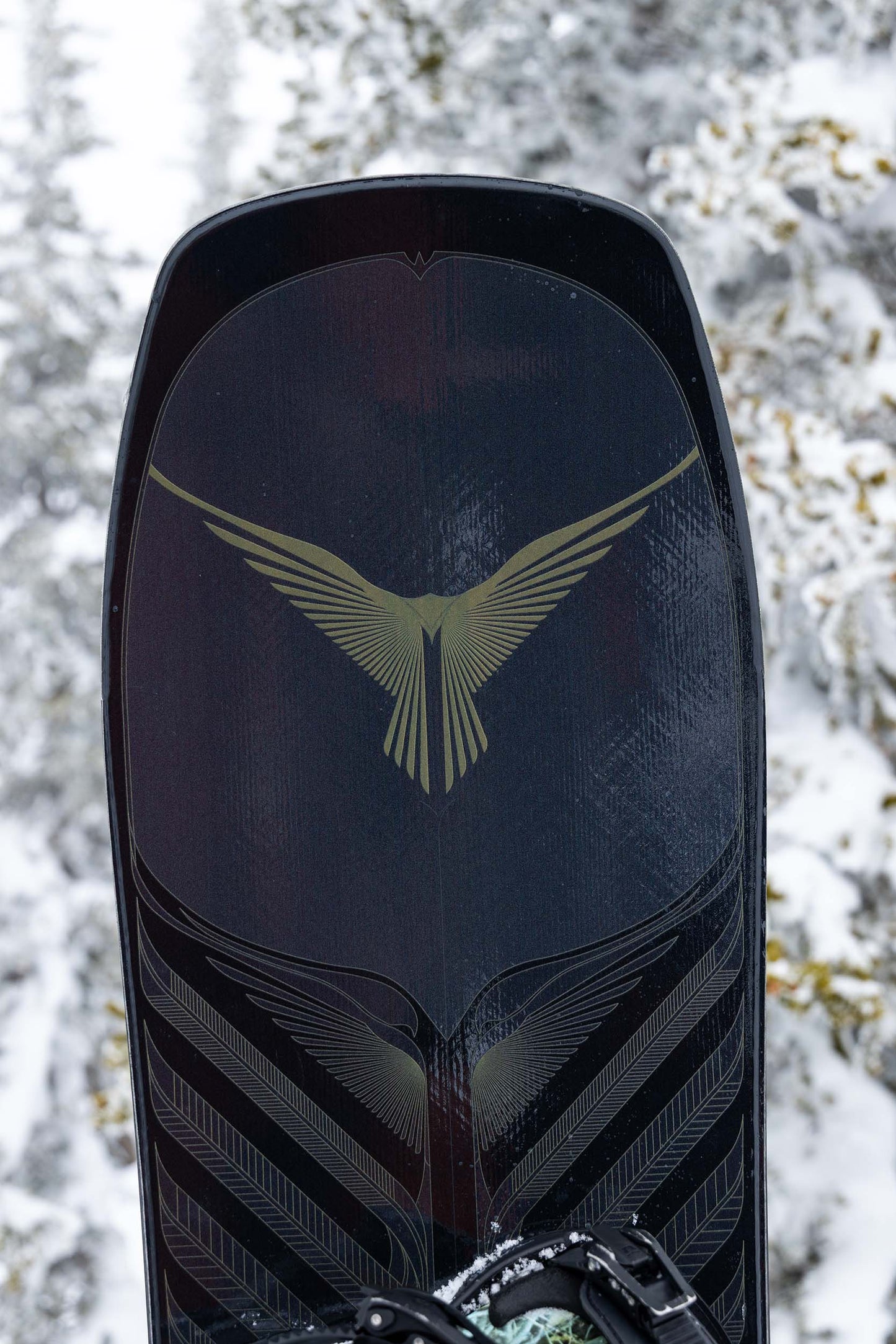 Hawk Enduro Snowboard