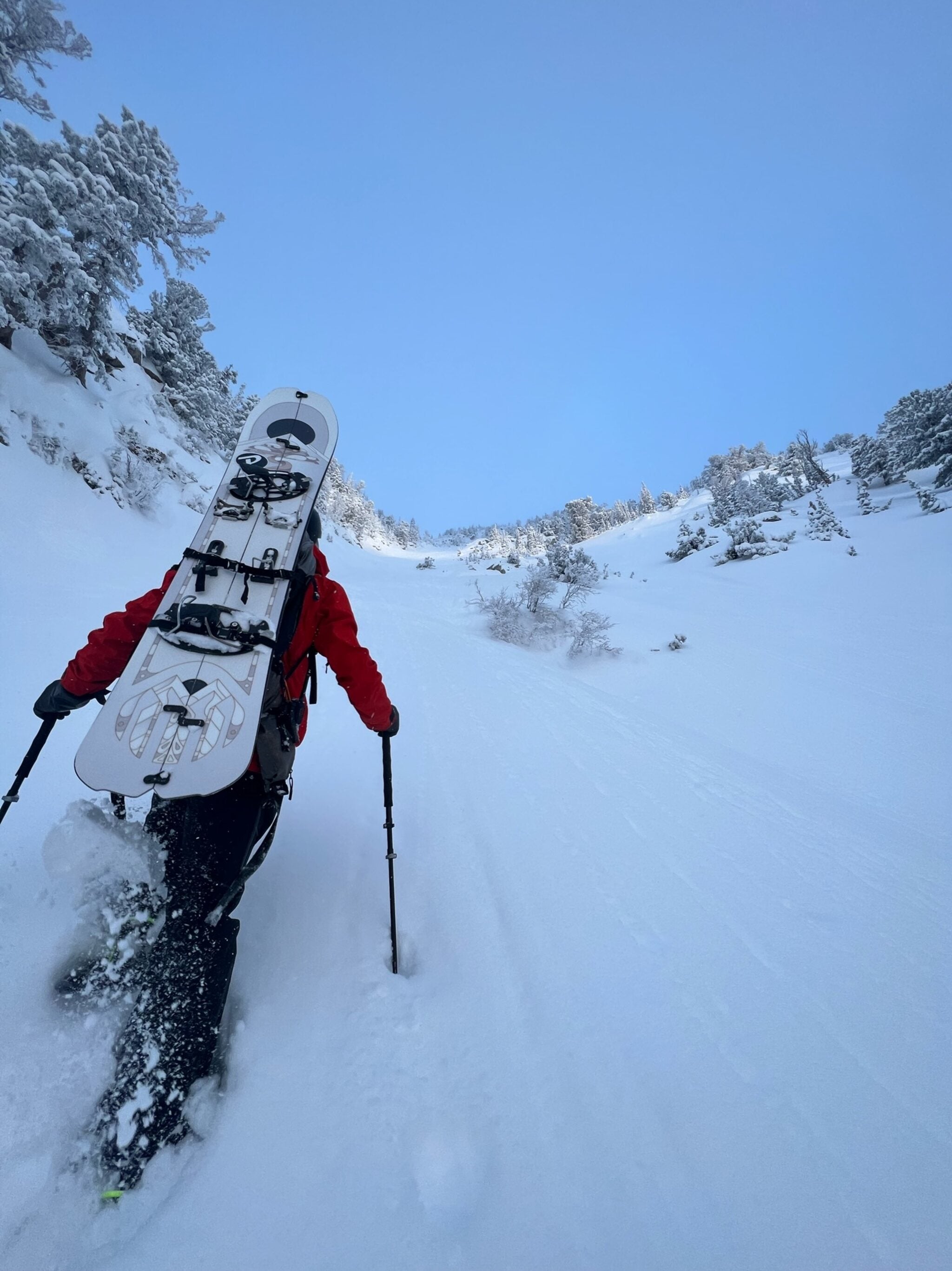 CARDIFF Bonsai 158 スノーボード Bonsai Pro Carbon Splitboard