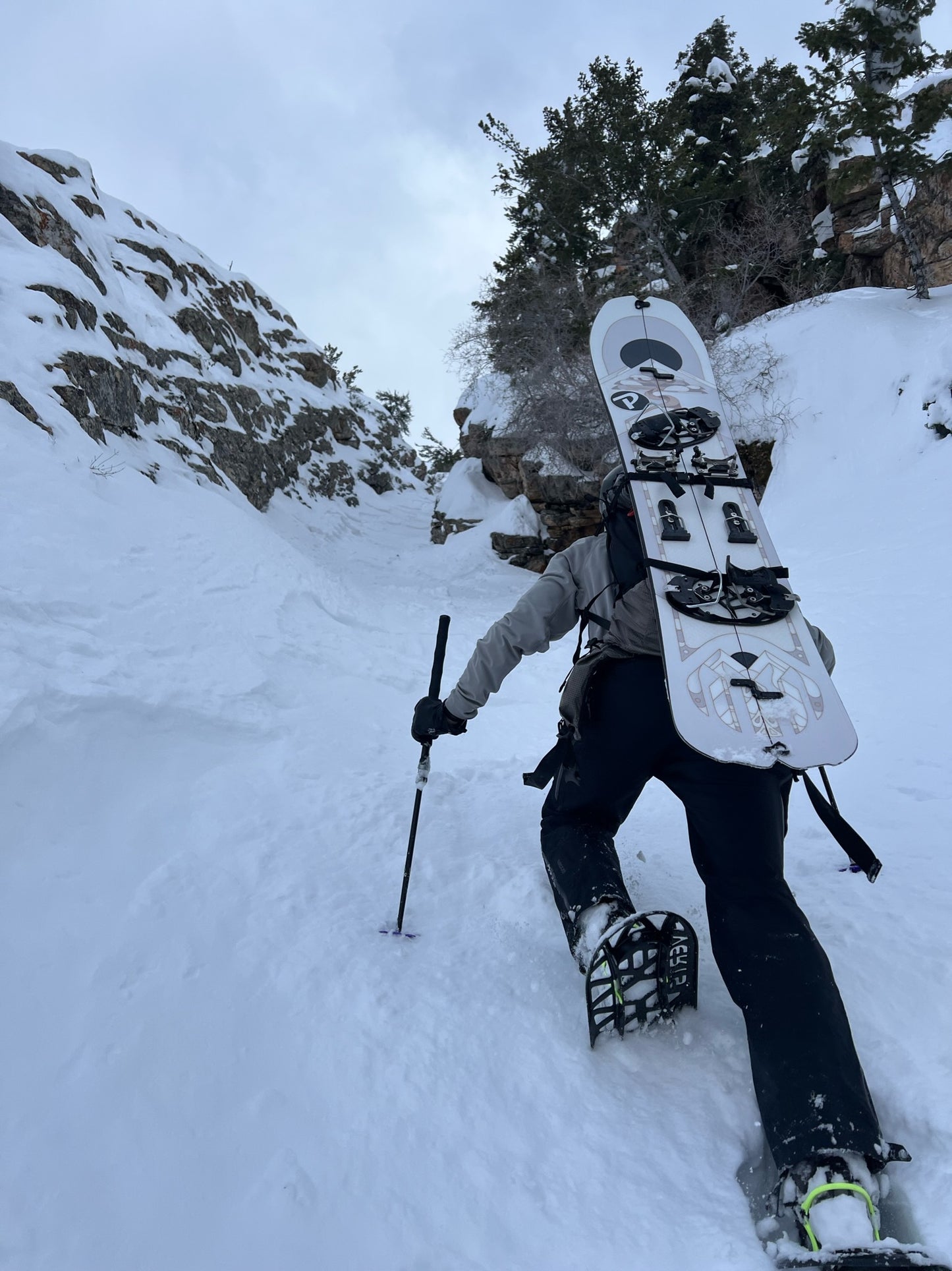Bonsai Pro Carbon Splitboard