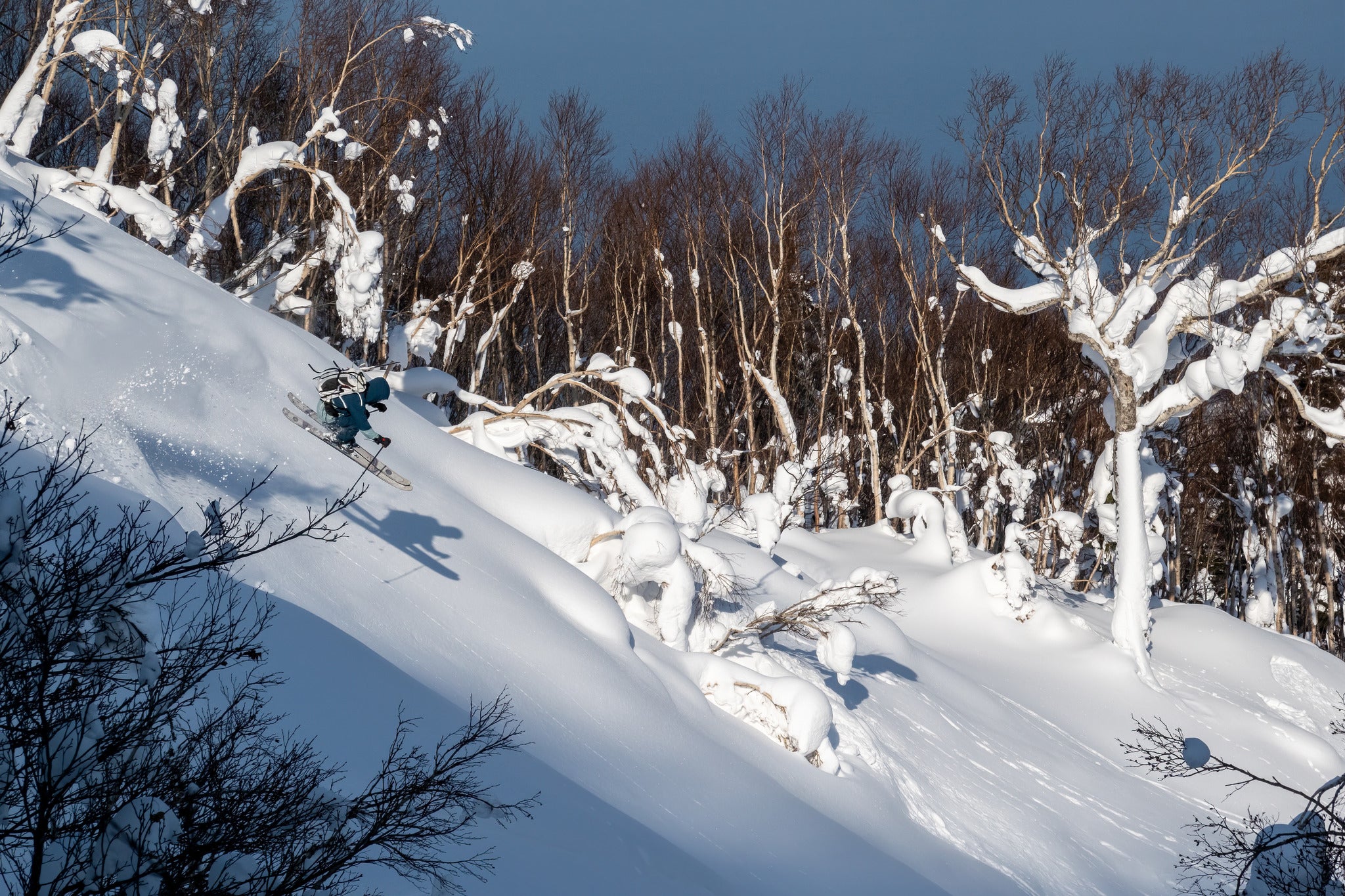 Powgoda Pro Carbon Skis