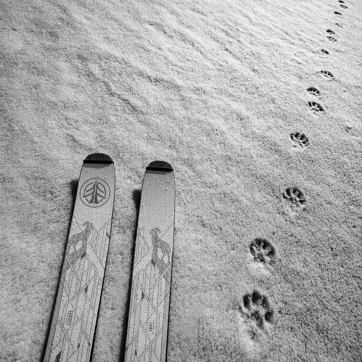 Goat Enduro Ski