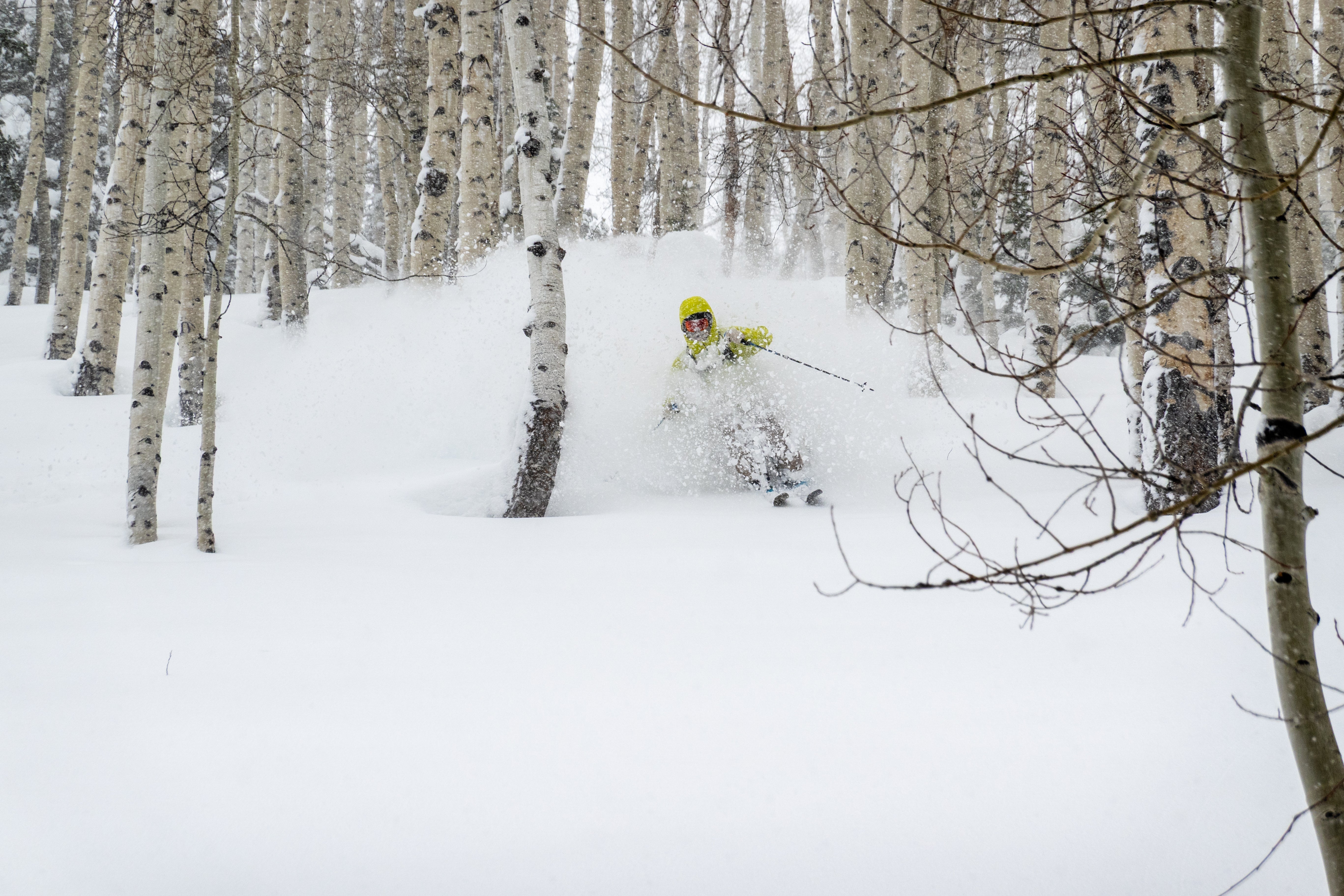 Powgoda Pro Carbon Ski – CARDIFF SNOWcraft