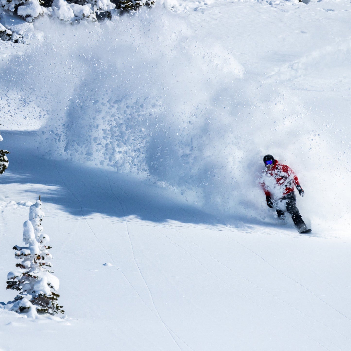 Powgoda Enduro Snowboard 2026