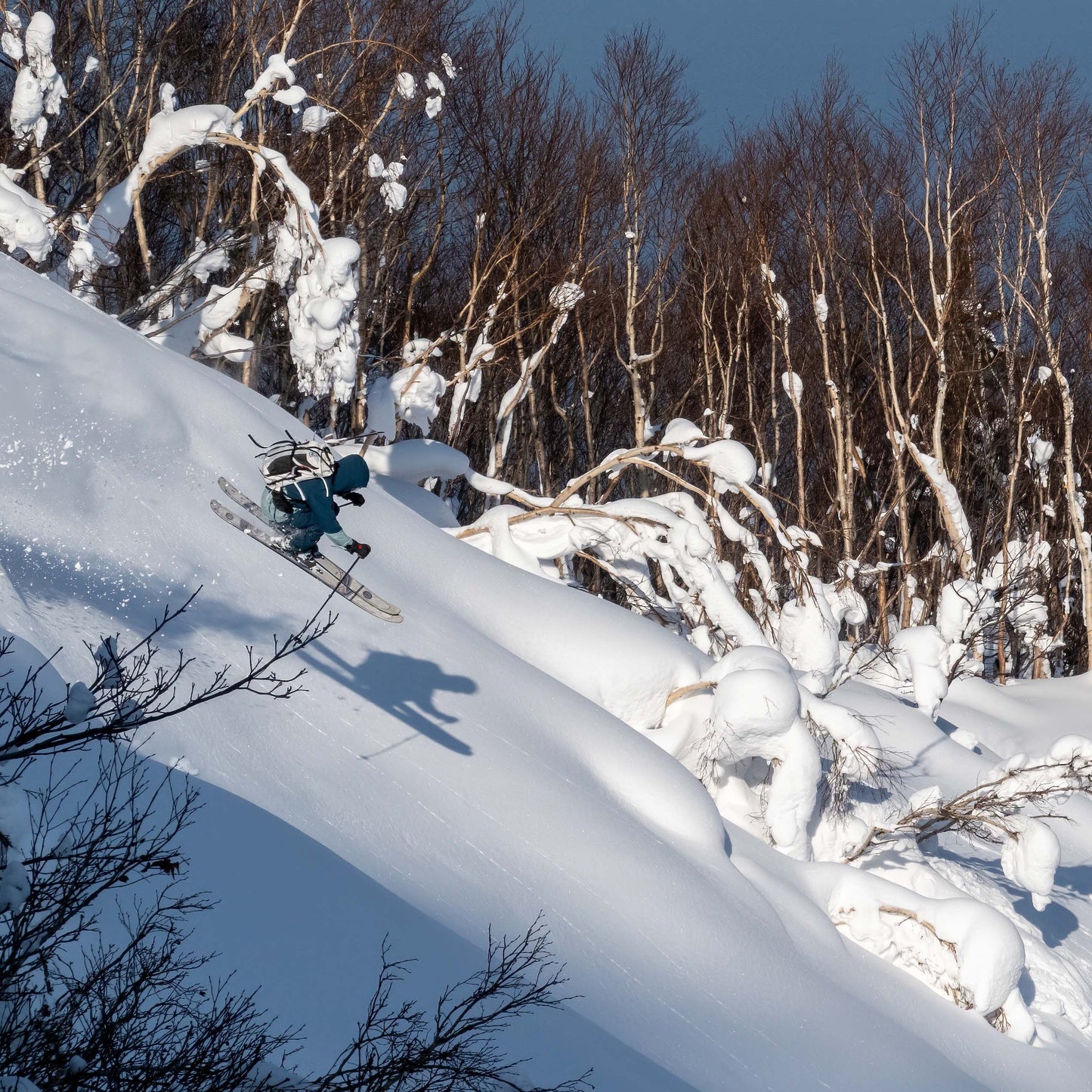Powgoda Enduro Ski