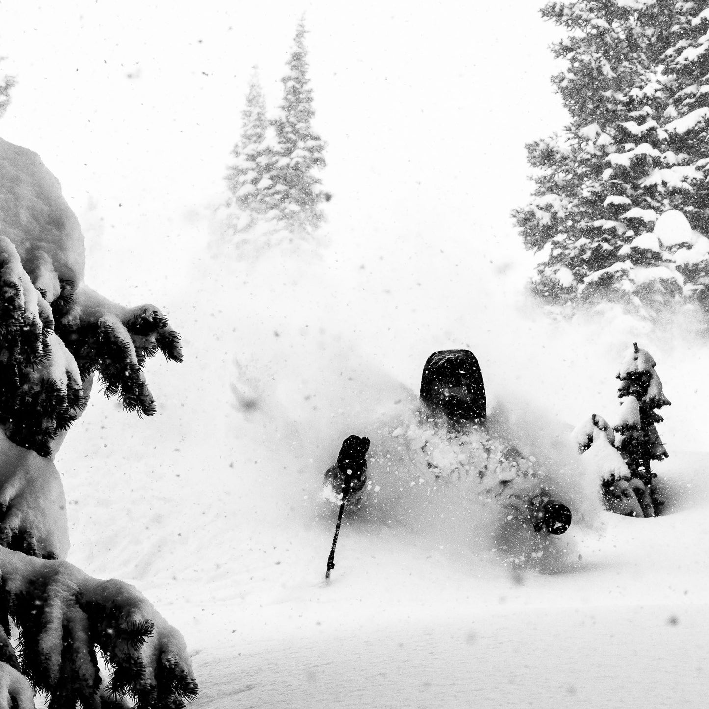 Powgoda Enduro Ski