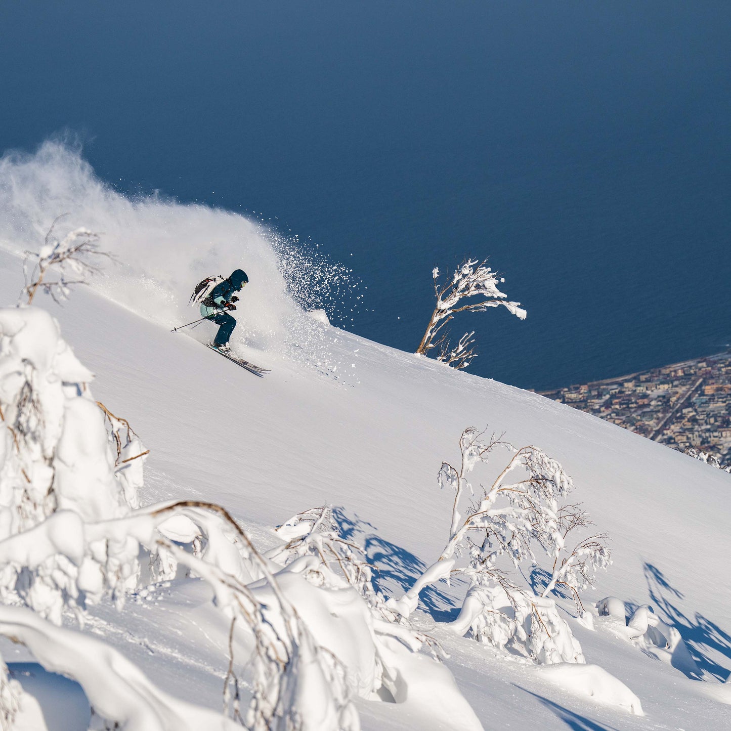 Powgoda Enduro Ski
