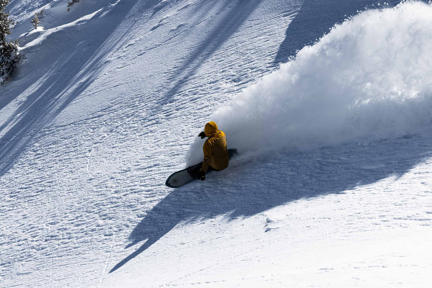 Swell Enduro Snowboard