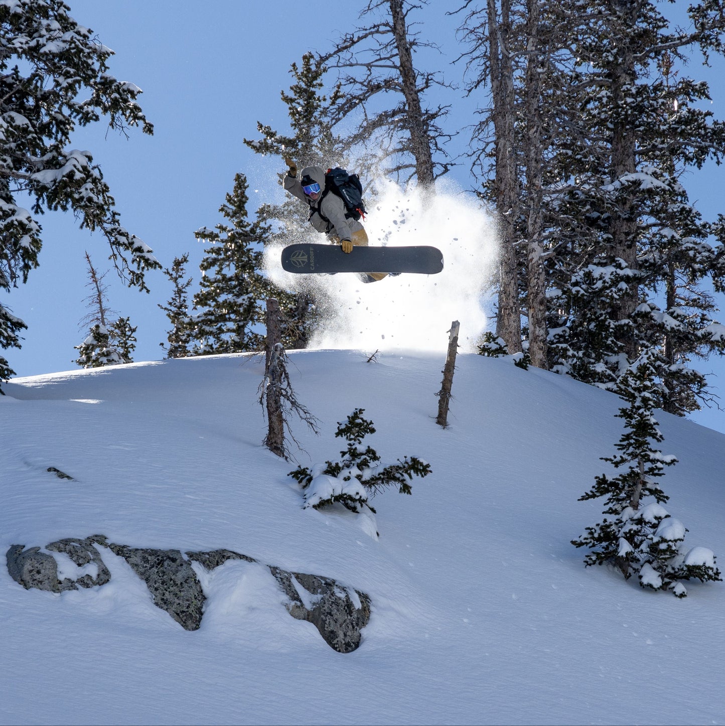 Goat Pro Carbon Snowboard 2026