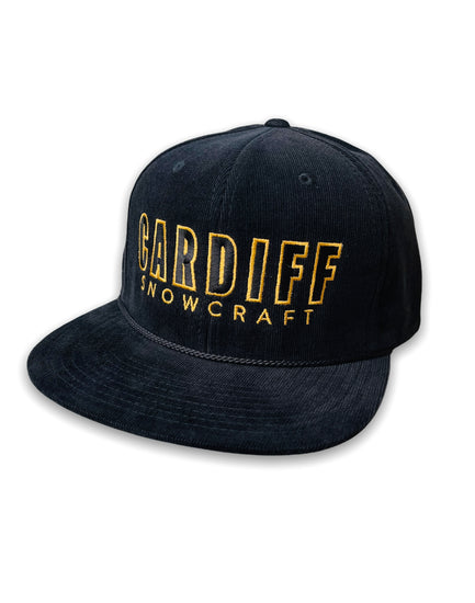 The Cardiff 6 Panel