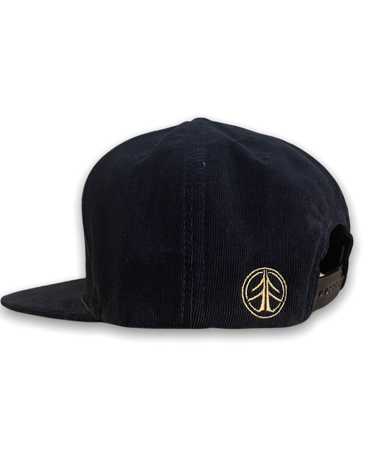 Cardiff 6 Panel Hat